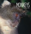 Monkeys - Melissa Gish