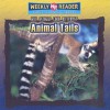 Animal Tails - Jonatha A. Brown