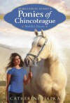 Maddie's Dream (Marguerite Henry's Ponies of Chincoteague) - Catherine Hapka