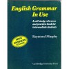 English Grammar in Use with Answers: A Reference and Practice Book for Intermediate Students - Raymond Murphy