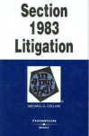 Section 1983 Litigation in a Nutshell (Nutshell Series) - Michael G. Collins