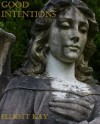 Good Intentions - Elliott Kay