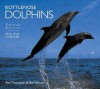 Bottlenose Dolphins - Paul Thompson, Ben Wilson