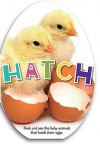 Hatch - Katie Cox