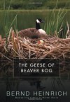 The Geese of Beaver Bog - Bernd Heinrich