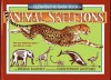 The Glow-in-Dark Book of Animal Skeletons - Regina Kahney, Gina Singer, Christopher Santoro