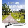 I Try Not to Drive Past Cemeteries (Brianna Sullivan Mysteries, #1) - Evelyn David