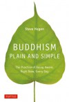 Buddhism Plain & Simple: The Practice of Being Aware, Right Now, Every Day - Steve Hagen