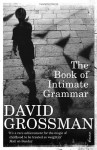 The Book of Intimate Grammar - David Grossman
