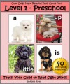 Level 1 - Preschool: Cute Dogs Make Reading Flash Cards Fun! (Teach Your Child to Read Sight Words) - Adele Jones