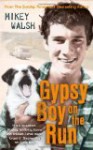 Gypsy Boy On The Run - Mikey Walsh