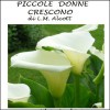 Piccole Donne Crescono (Little Women, Piccole Donne #2) - Louisa May Alcott