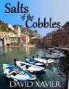 Salts Of The Cobbles - David Xavier