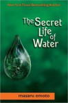 The Secret Life of Water - Masaru Emoto