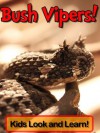 Bush Vipers! Learn About Bush Vipers and Enjoy Colorful Pictures - Look and Learn! (50+ Photos of Bush Vipers) - Becky Wolff