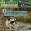 Raccoon at Clear Creek Road [With Read-Along Audiocassette] - Carolyn B. Otto, Cathy Trachok, Alexi Komisar