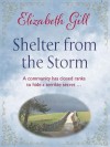 Shelter from the Storm - Elizabeth Gill