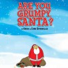 Are You Grumpy, Santa? (Board Book) - Gregg Spiridellis, Evan Spiridellis