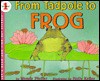 From Tadpole to Frog - Wendy Pfeffer, Holly Keller