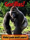 Gorillas! Learn About Gorillas and Enjoy Colorful Pictures - Look and Learn! (50+ Photos of Gorillas) - Becky Wolff