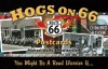 Hogs on 66 Postcards: You Might Be a Road Warrior If... - Michael Wallis, Marian Clark