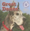 Great Danes - Kristen Rajczak