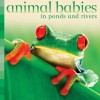 Animal Babies in Ponds and Rivers (Board Book) - Kingfisher