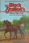 The Black Stallion's Blood Bay Colt - Walter Farley