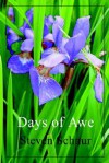 Days of Awe - Steven Schnur