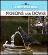 Pigeons and Doves - Ray Nofsinger, Jim Hargrove