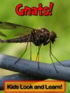 Gnats! Learn About Gnats and Enjoy Colorful Pictures - Look and Learn! (50+ Photos of Gnats) - Becky Wolff