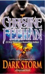 Dark Storm - Christine Feehan