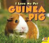 Guinea Pig - Aaron Carr