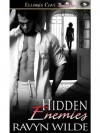 Hidden Enemies - Ravyn Wilde