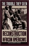 The Trouble They Seen: The Story Of Reconstruction In The Words Of African Americans - Dorothy Sterling