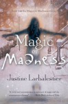 Magic or Madness - Justine Larbalestier