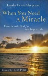 When You Need a Miracle: How to Ask God for the Impossible - Linda Evans Shepherd