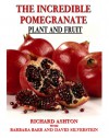 The Incredible Pomegranate - Richard Ashton