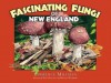 Fascinating Fungi of New England - Lawrence Millman