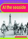 At The Seaside (What Was It Like In The Past?) - Louise Spilsbury, Richard Spilsbury