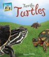 Terrific Turtles - Anders Hanson