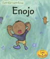 Enojo / Angry (Heinemann Lee Y Aprende/Heinemann Read and Learn (Spanish)) - Sarah Medina