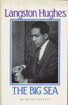 Big Sea an Autobiography (Classic reprint series) - Langston Hughes, Amiri Baraka