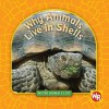 Why Animals Live in Shells - Valerie J. Weber, Susan Nations, Debra Voege