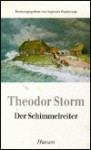 Der Schimmelreiter (Taschenbuch) - Theodor Storm, Ingwert Paulsen