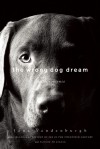 The Wrong Dog Dream: A True Romance - Jane Vandenburgh