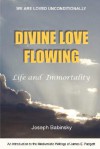 Divine Love Flowing - Joseph Babinsky