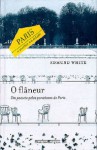 O Flâneur: Um passeio pelos paradoxos de Paris - Edmund White