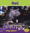 Rat - Isabel Thomas