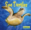 Sea Turtles - Jason Glaser